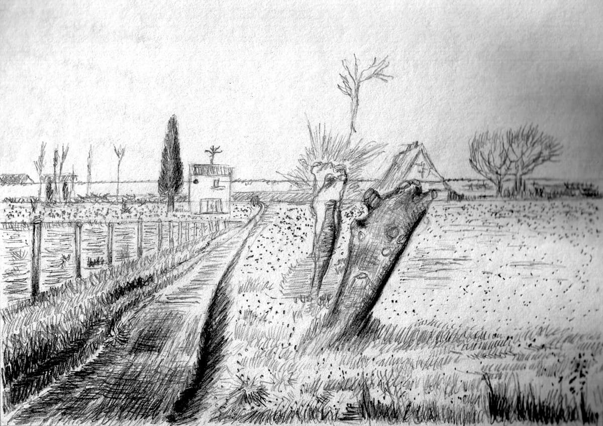 This black-and-white pencil sketch depicts a rural landscape with a narrow dirt road running parallel to a fence on the left side, leading into the distance. To the right, there is a grassy field with two distinctive tree stumps in the foreground. Further back, a small house with a flat roof stands near the road, and a tall tree rises next to it. In the far background, additional trees and a triangular-roofed building are visible, with the entire scene feeling calm and isolated, evoking a sense of countryside serenity. The shading is detailed, giving depth to the landscape.