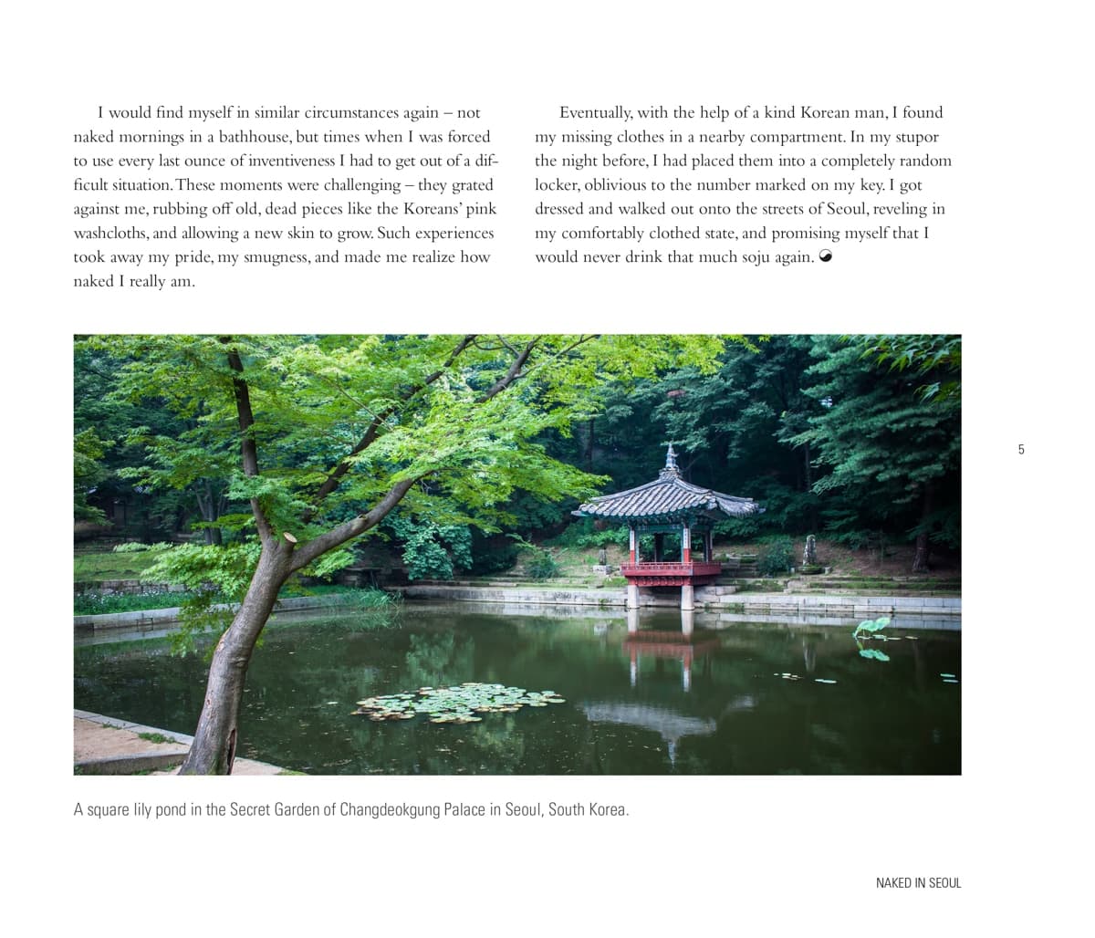 A peaceful square lily pond in the Secret Garden of Changdeokgung Palace, surrounded by lush green trees in Seoul, South Korea.