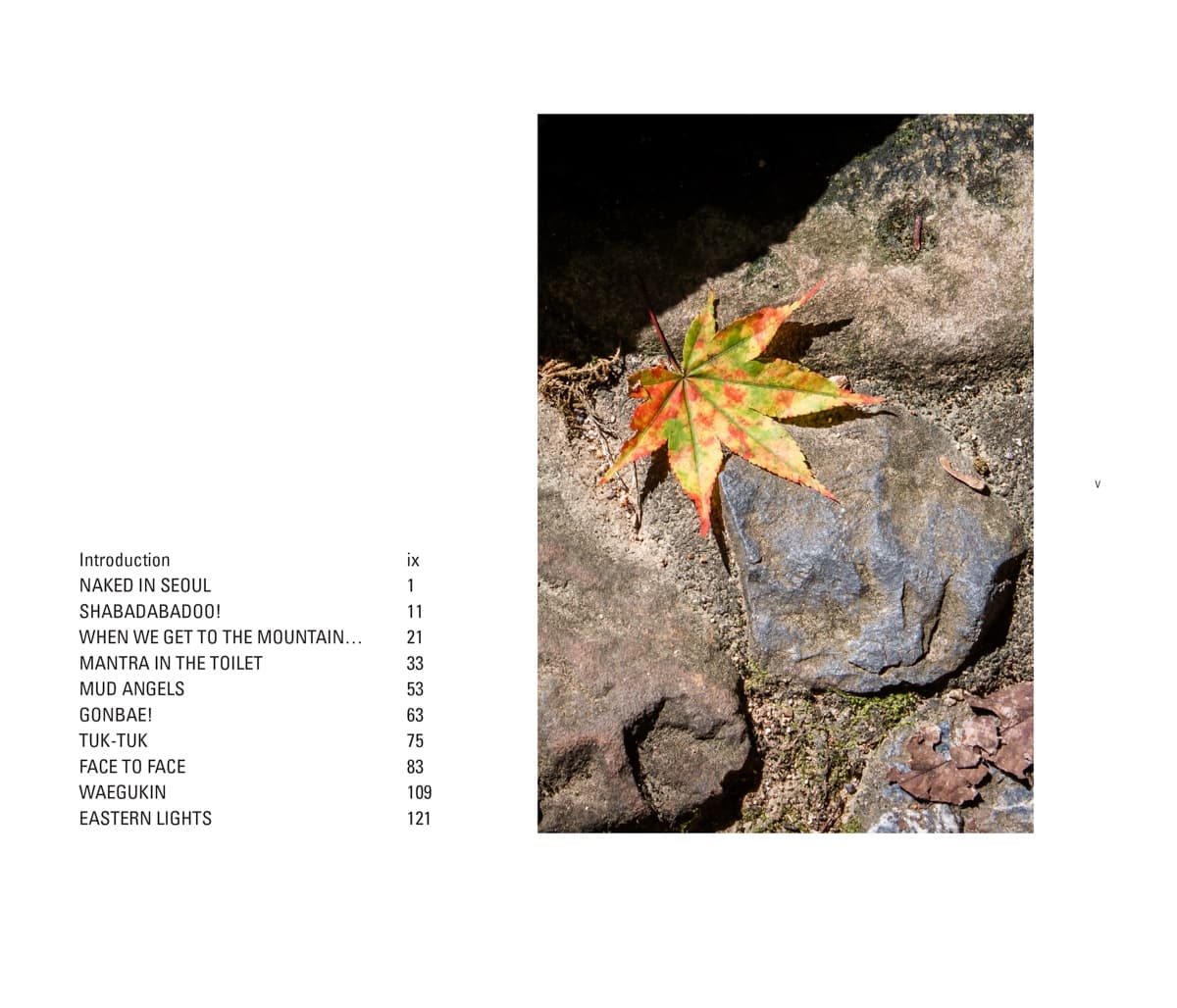 A single multicolored autumn leaf resting on a stone, signaling the change of seasons.
