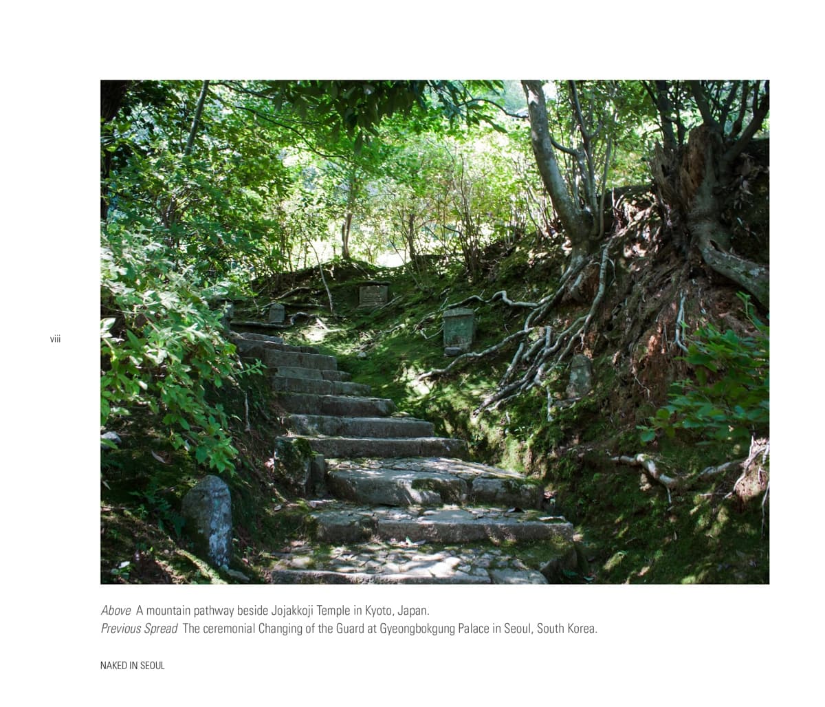 A stone pathway surrounded by dense trees, leading up a mountain beside Jojakkoji Temple in Kyoto, Japan.