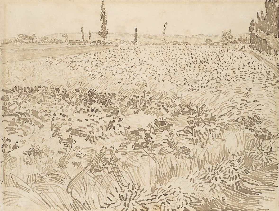 This drawing portrays a wide, open field with a few distant cypress trees dotting the horizon. The field is depicted with sweeping, rhythmic lines, creating a sense of expansiveness and calm.