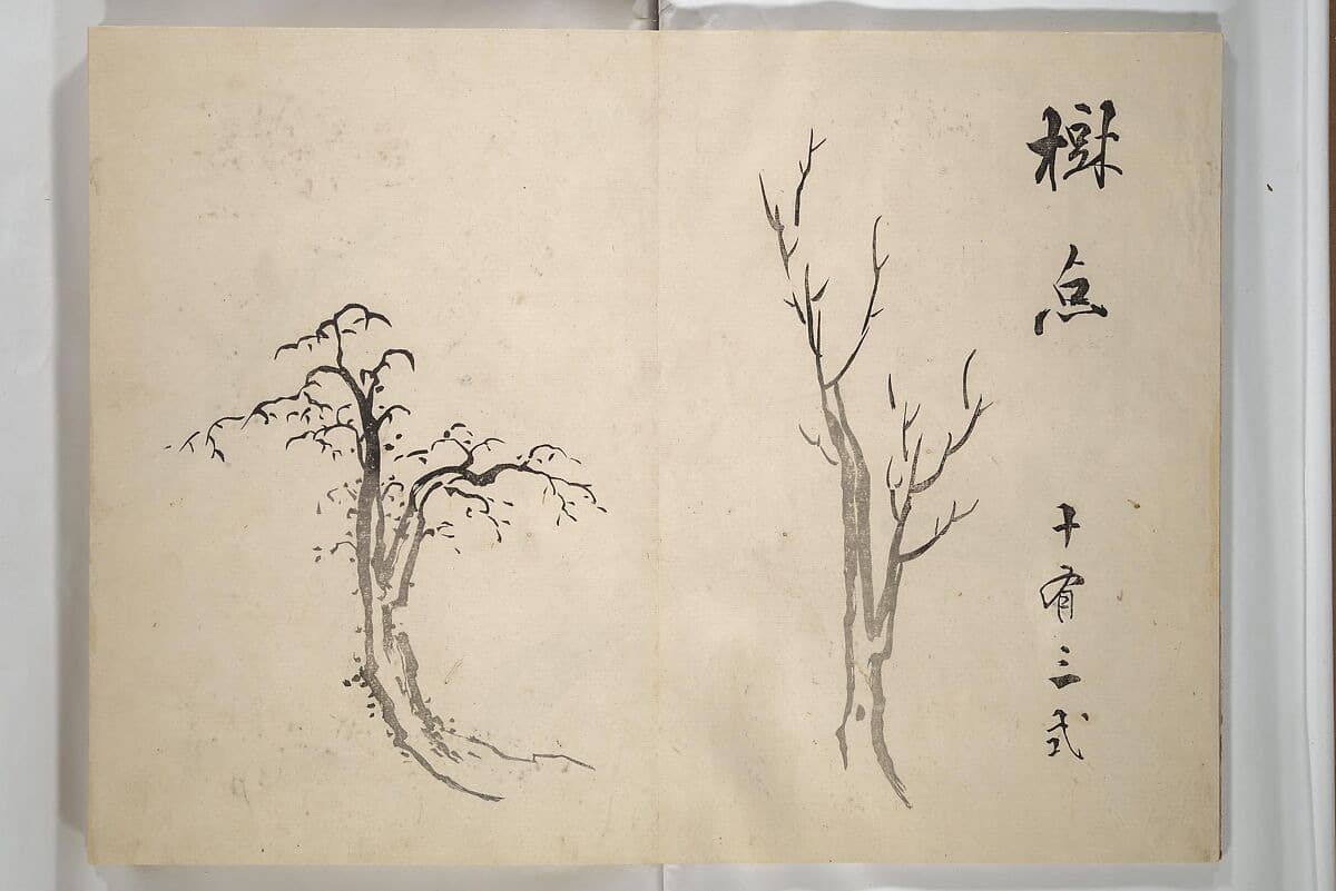 A sketchbook-style composition of two tree studies painted in monochrome ink. The left tree is curved and leafy, while the right is bare and upright. Vertical Japanese calligraphy on the right balances the minimalist aesthetic.