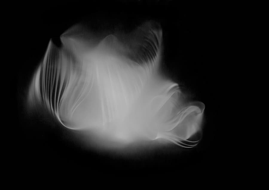 Abstract black-and-white image of ethereal, wispy light trails resembling flowing fabric or smoke, forming delicate, layered curves against a dark background.