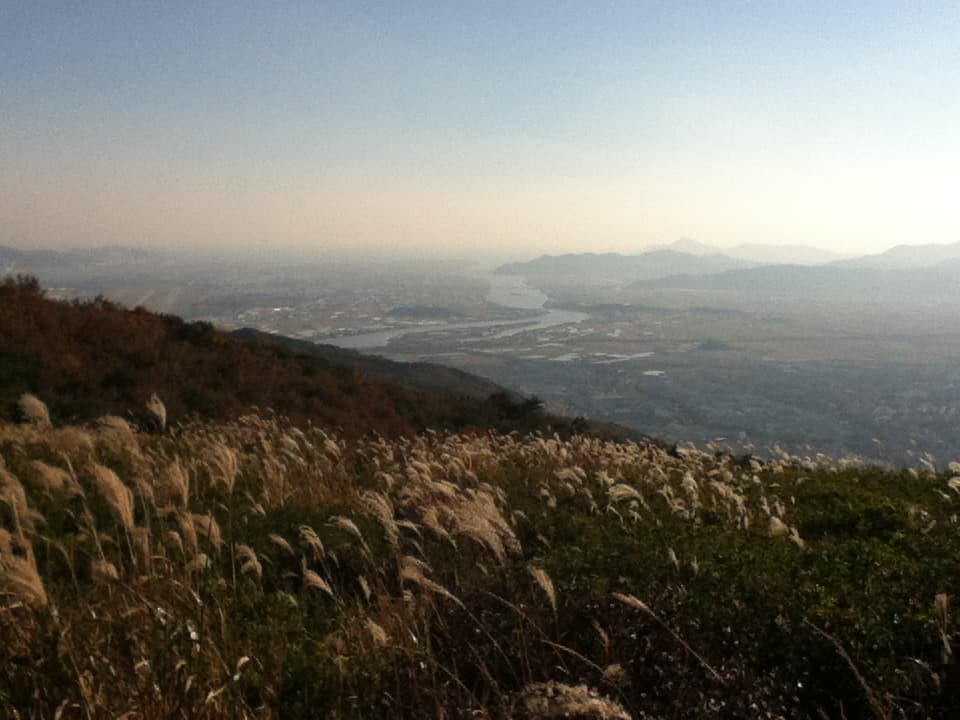 A panoramic view from a hilltop with tall grasses gently swaying in the foreground. The landscape extends into a wide valley below, with winding rivers cutting through fields and distant mountains on the horizon. The atmosphere is hazy, softening the outlines of the mountains and blending the sky into the distant land, creating a peaceful and expansive scene. The warm sunlight casts a golden glow on the grasses, adding to the tranquil beauty of the view.
