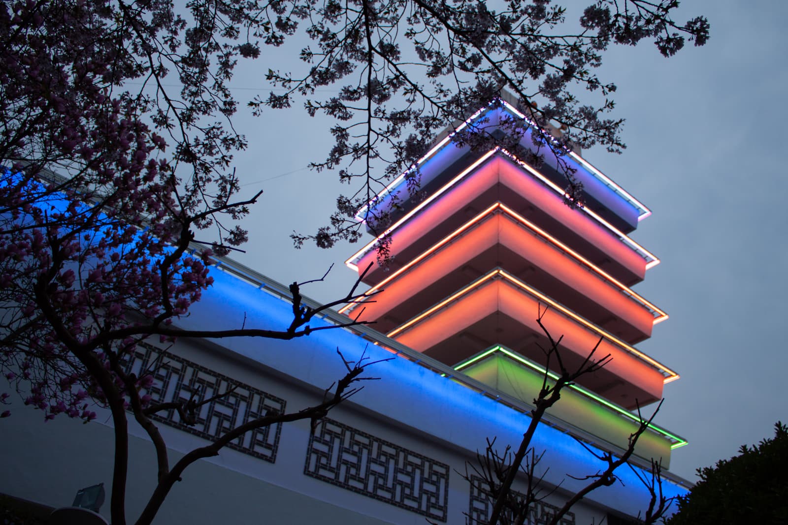 This image depicts a multi-tiered pagoda-style structure illuminated by vibrant neon lights in various colors, including blue, pink, and green, set against the evening sky. The glowing edges of the building's layers give it a modern, almost futuristic appearance while maintaining its traditional architectural form. In the foreground, branches of cherry blossom trees frame the scene, their delicate flowers adding a natural contrast to the geometric and brightly lit building. The juxtaposition of the glowing pagoda with the blooming branches creates a harmonious blend of nature and human-made beauty, evoking a tranquil and festive atmosphere.