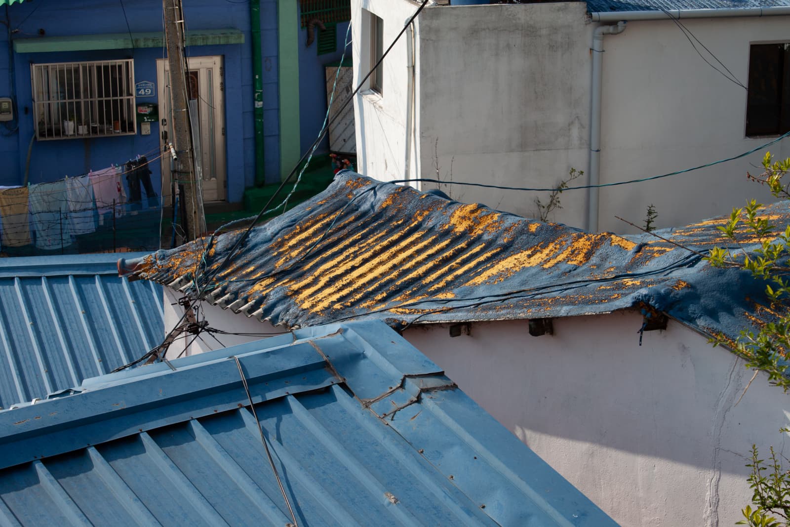 This image shows a rooftop scene in an urban or residential area, with blue corrugated metal roofs dominating the composition. The roof in the foreground appears weathered, with yellowish debris or grains scattered across it, possibly drying in the sun. The wires crisscrossing between buildings add a sense of everyday life and utility to the scene. In the background, brightly painted walls, including a vibrant blue house with laundry hanging outside, suggest a lively neighborhood. The overall image has a casual, lived-in feel, with the bright colors providing a cheerful contrast to the mundane utility of the rooftops and buildings.