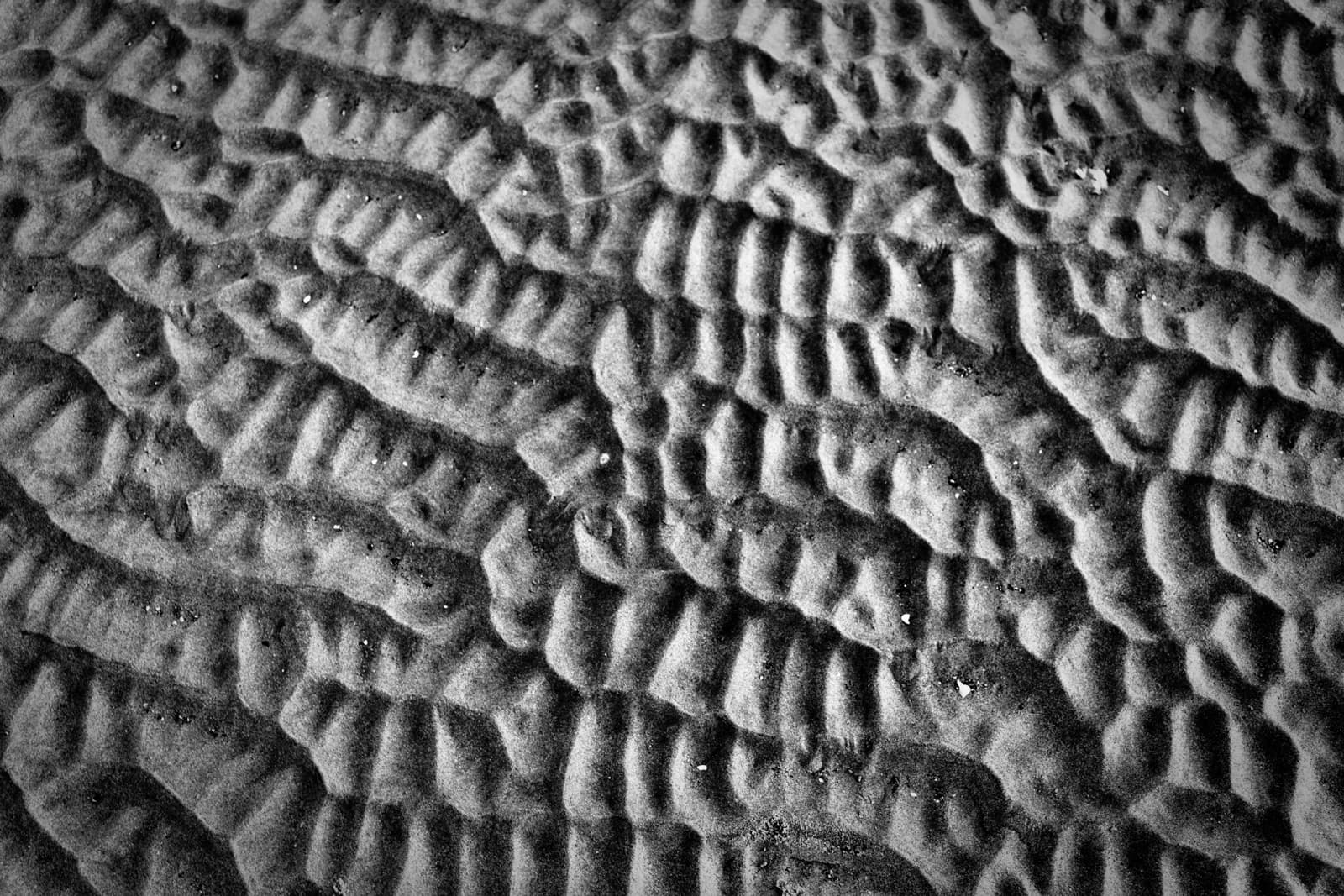 This black-and-white image captures the intricate, textured patterns created by ripples in sand. The wavy ridges appear to have been shaped by wind or water, giving the surface an organic and dynamic feel. The interplay of light and shadow accentuates the depth and contours of the ripples, highlighting the natural beauty of the shifting patterns. The monochromatic tones add a timeless quality to the image, focusing attention on the texture and form rather than color. This close-up view of sand transforms a simple natural element into an abstract, almost sculptural visual experience.