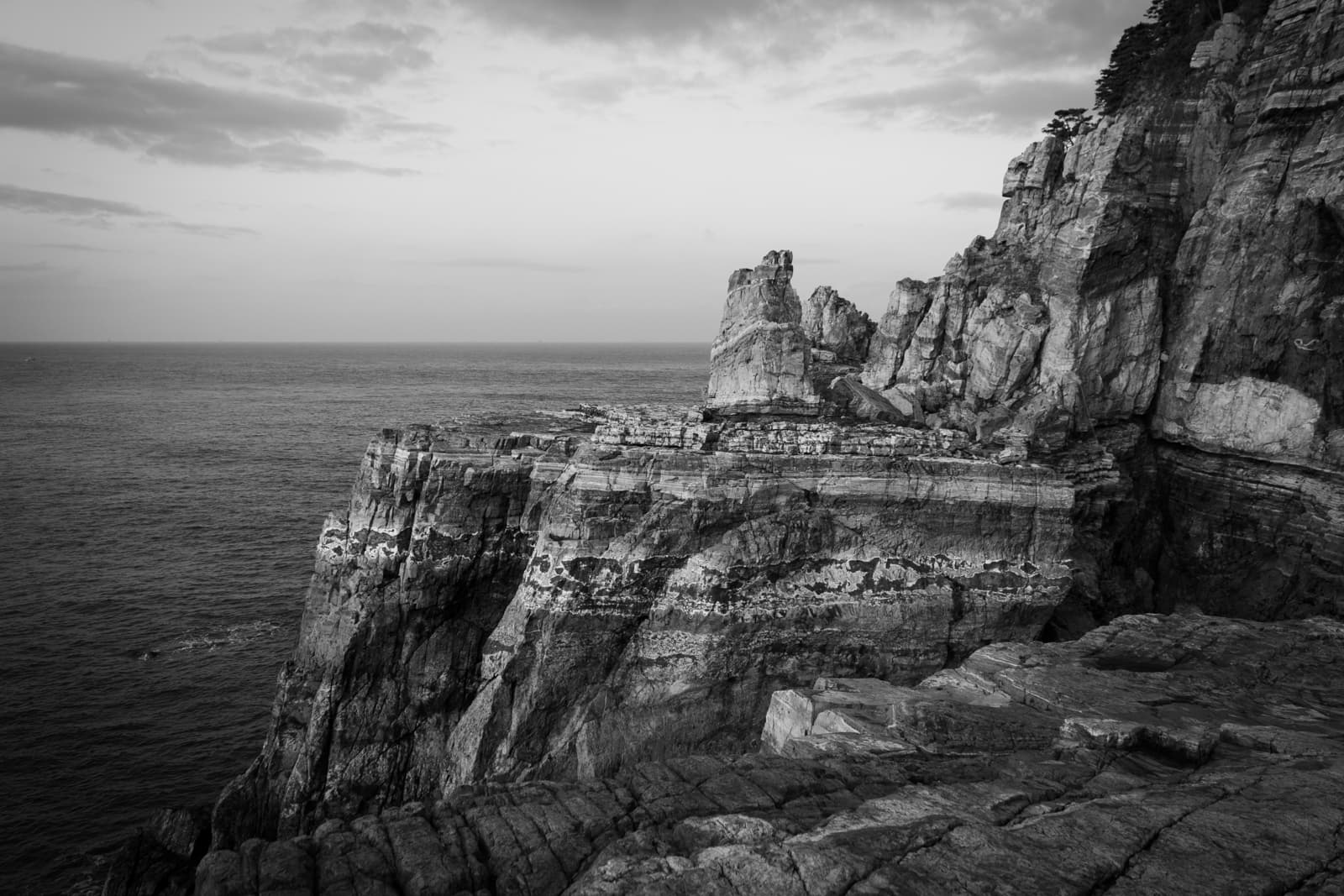 A striking black-and-white image of a towering cliff rising above the ocean. The cliff’s layers of rock are sharply defined, and the expansive sea stretches into the distance, giving the image a sense of majesty and timelessness.