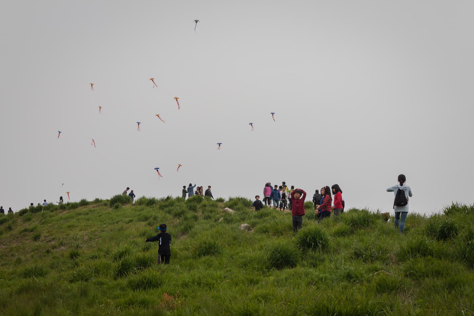 A grassy hill where numerous people are gathered, flying colorful kites high in the sky. The cloudy backdrop and crowd suggest a festive outdoor event or a communal kite-flying activity.