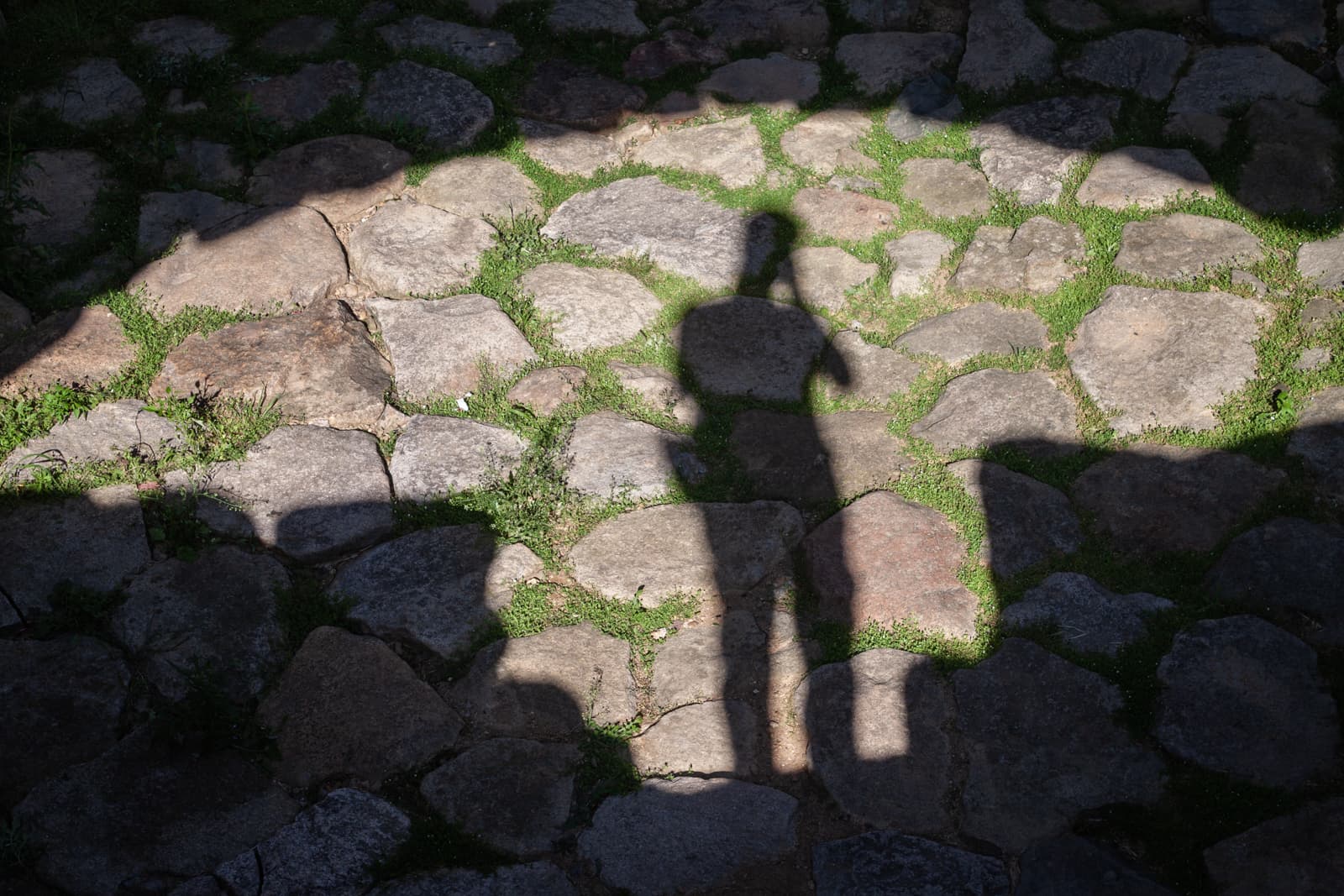 A shadow of a person projected onto stone cobbles, with patches of green grass growing between the rocks. The silhouette and the shadow of the structure create a mysterious and reflective mood.