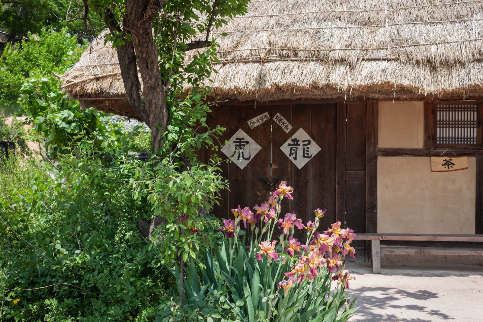A traditional Korean thatched-roof house with a lush garden in front. Pink irises bloom in the garden, adding color to the natural and tranquil setting.