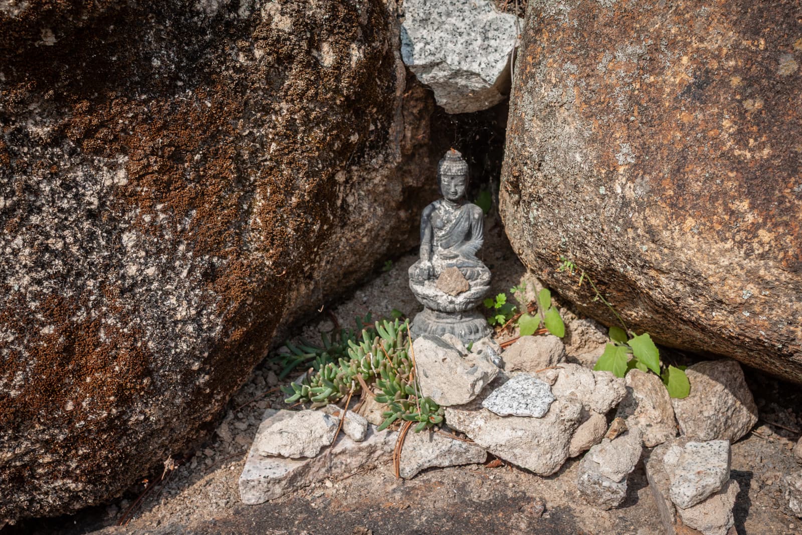 A small Buddha statue placed between large boulders, surrounded by a few green plants and pebbles. The serene figure is tucked away in a natural crevice, creating a peaceful hidden shrine.