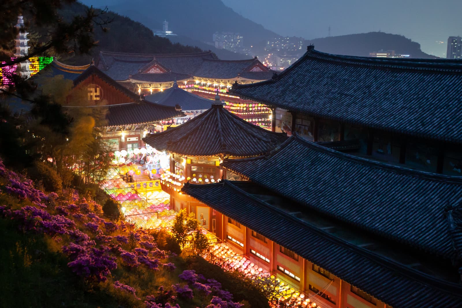 A view of intricately lit traditional Korean temple rooftops at dusk, surrounded by blooming purple flowers, with the glowing lights of colorful lanterns and a distant cityscape under the night sky.