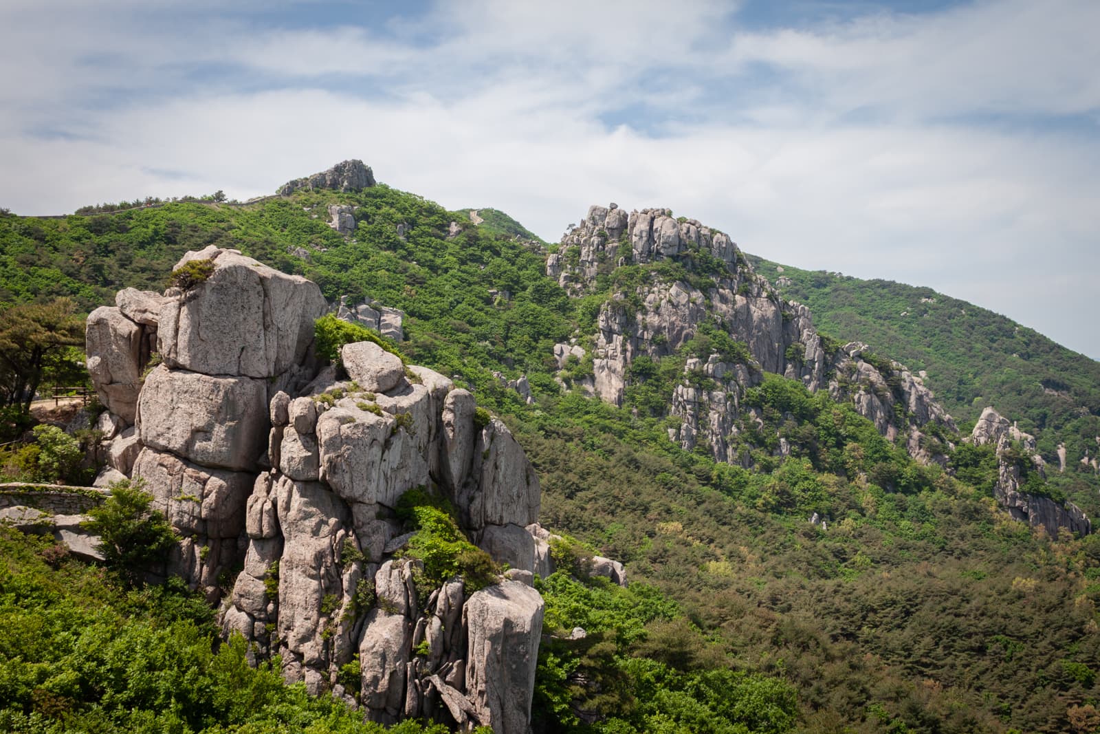 A scenic view of rugged, jagged rock formations amidst a lush green forest, with a bright blue sky in the background.