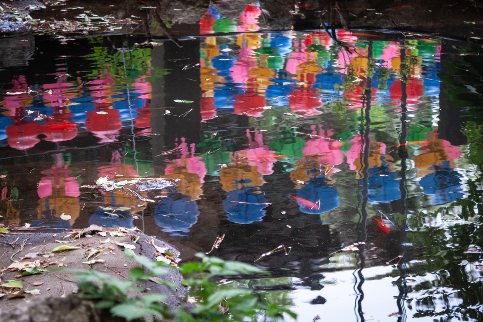 A reflection of brightly colored lanterns, including reds, blues, greens, and pinks, on the surface of a pond or stream, with leaves and other natural debris floating in the water.