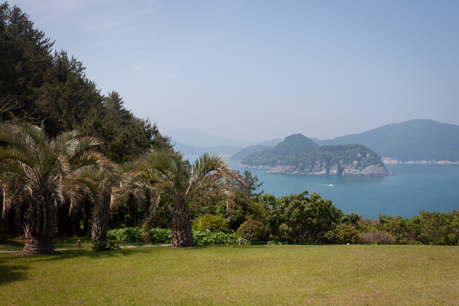 A scenic coastal landscape with palm trees and a grassy lawn in the foreground, overlooking calm blue waters and tree-covered islands in the distance.
