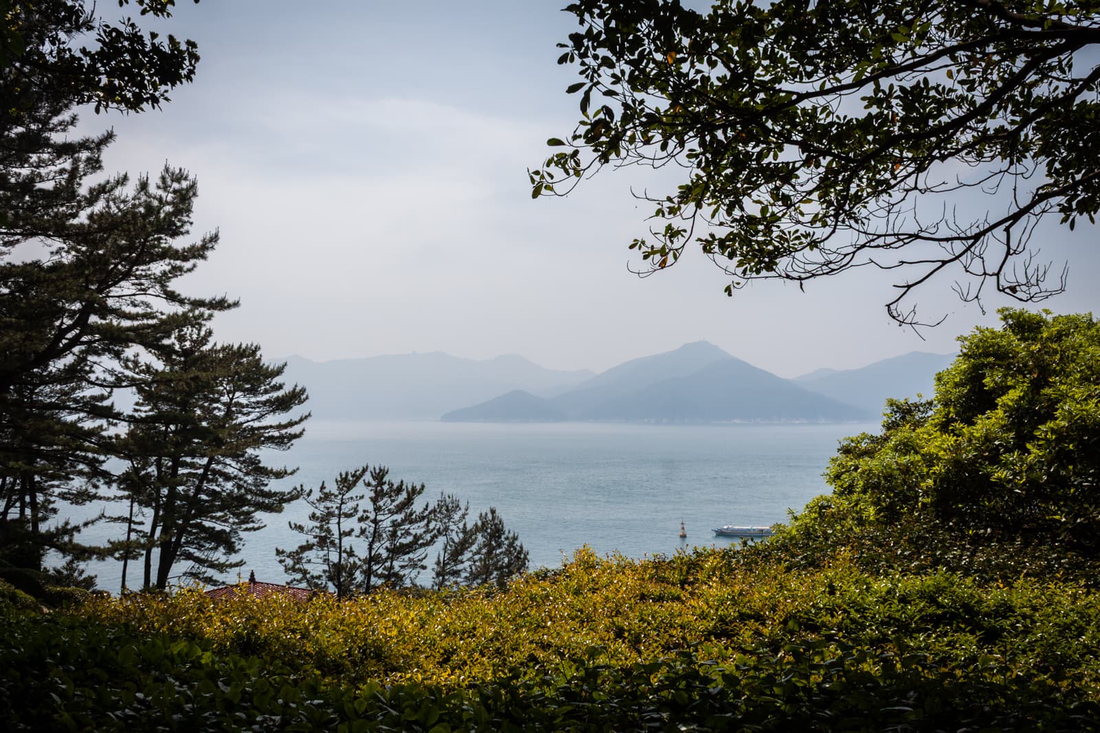A hazy view of a distant mountain range across a calm body of water, framed by tree branches and shrubs in the foreground.