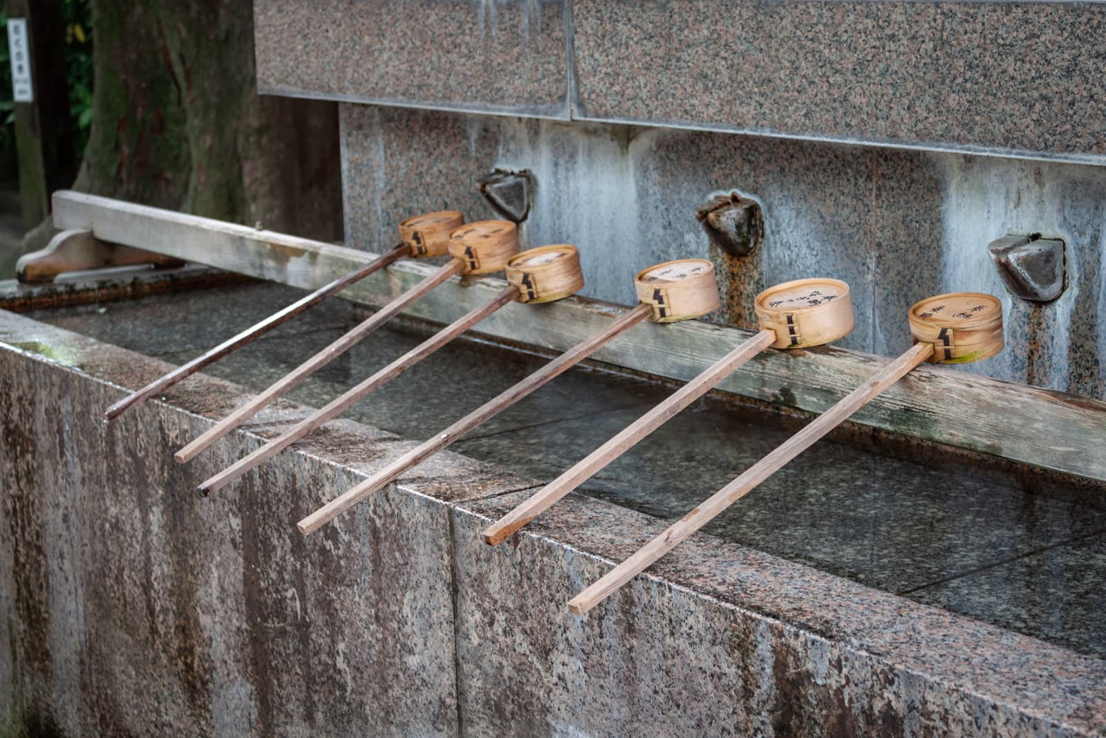 A row of wooden ladles resting on the edge of a stone purification fountain at a shrine, used for ritual hand washing.