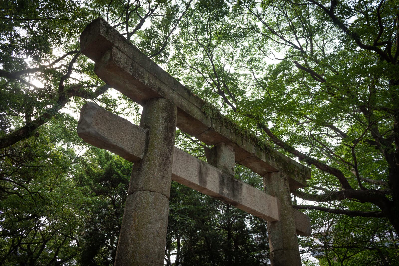 A large stone torii gate standing among tall trees, framed by lush green leaves with sunlight filtering through.