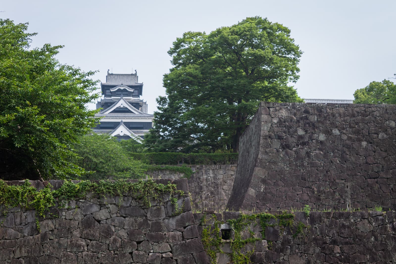 A distant view of a traditional Japanese castle tower, framed by thick stone walls and lush trees, showcasing the fortress-like architecture.