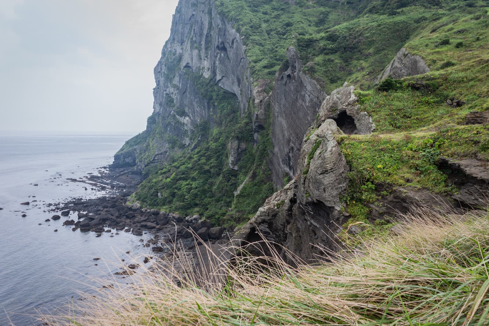A towering cliff covered in greenery rises dramatically beside the ocean, with patches of grass in the foreground and rocky outcrops near the water below.