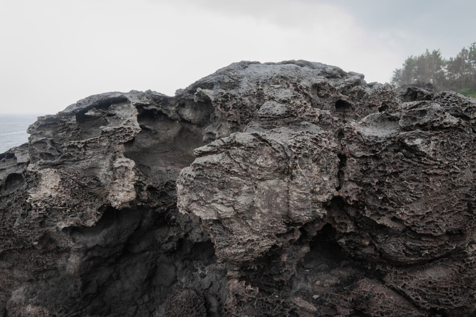 A close-up of weathered volcanic rocks, with intricate textures and crevices formed over time.