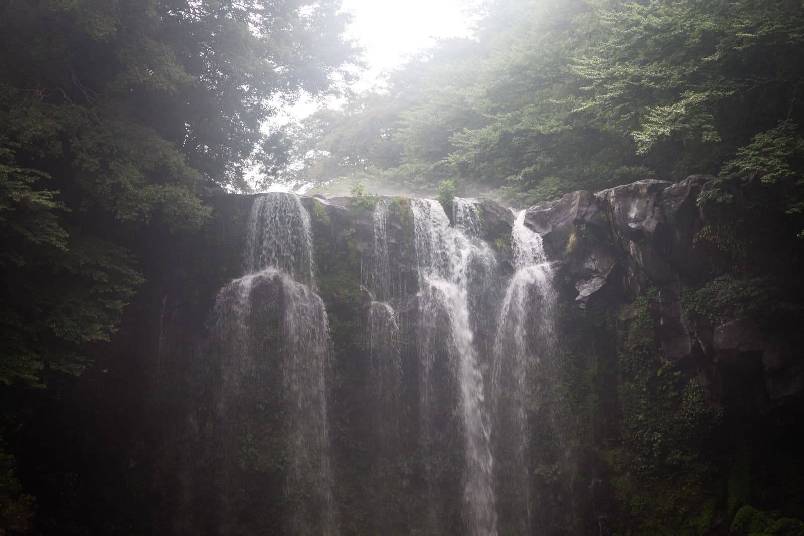 A misty waterfall cascading down a rocky cliff, surrounded by thick forest greenery.