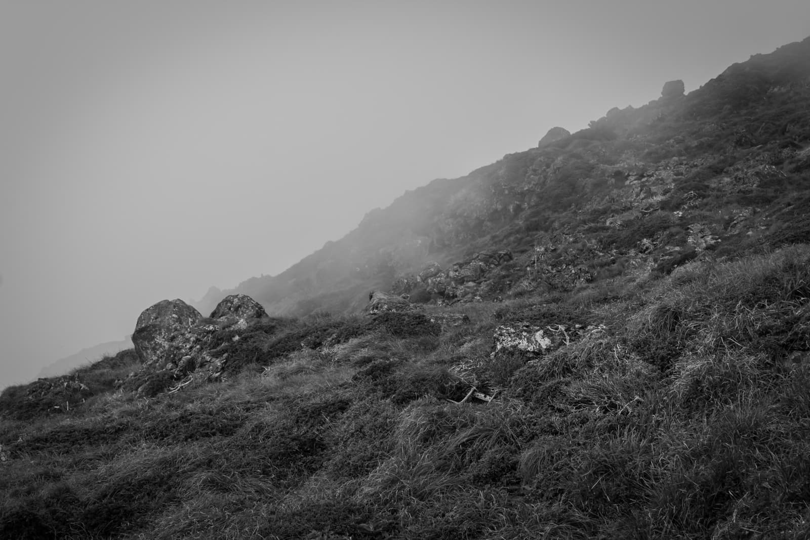 A grassy and rocky slope partially covered by mist. The ground is uneven, with patches of greenery and larger stones scattered throughout, adding a moody feel to the monochrome scene.