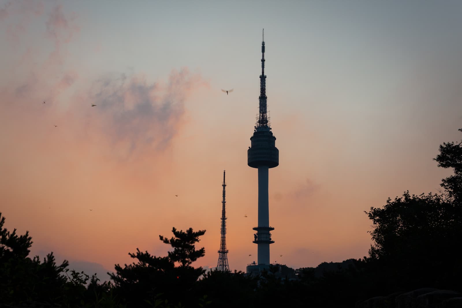 A telecommunications tower silhouetted against a sunset sky with soft hues of orange and pink. Birds can be seen flying in the distance, and the silhouette of trees frames the bottom of the scene.