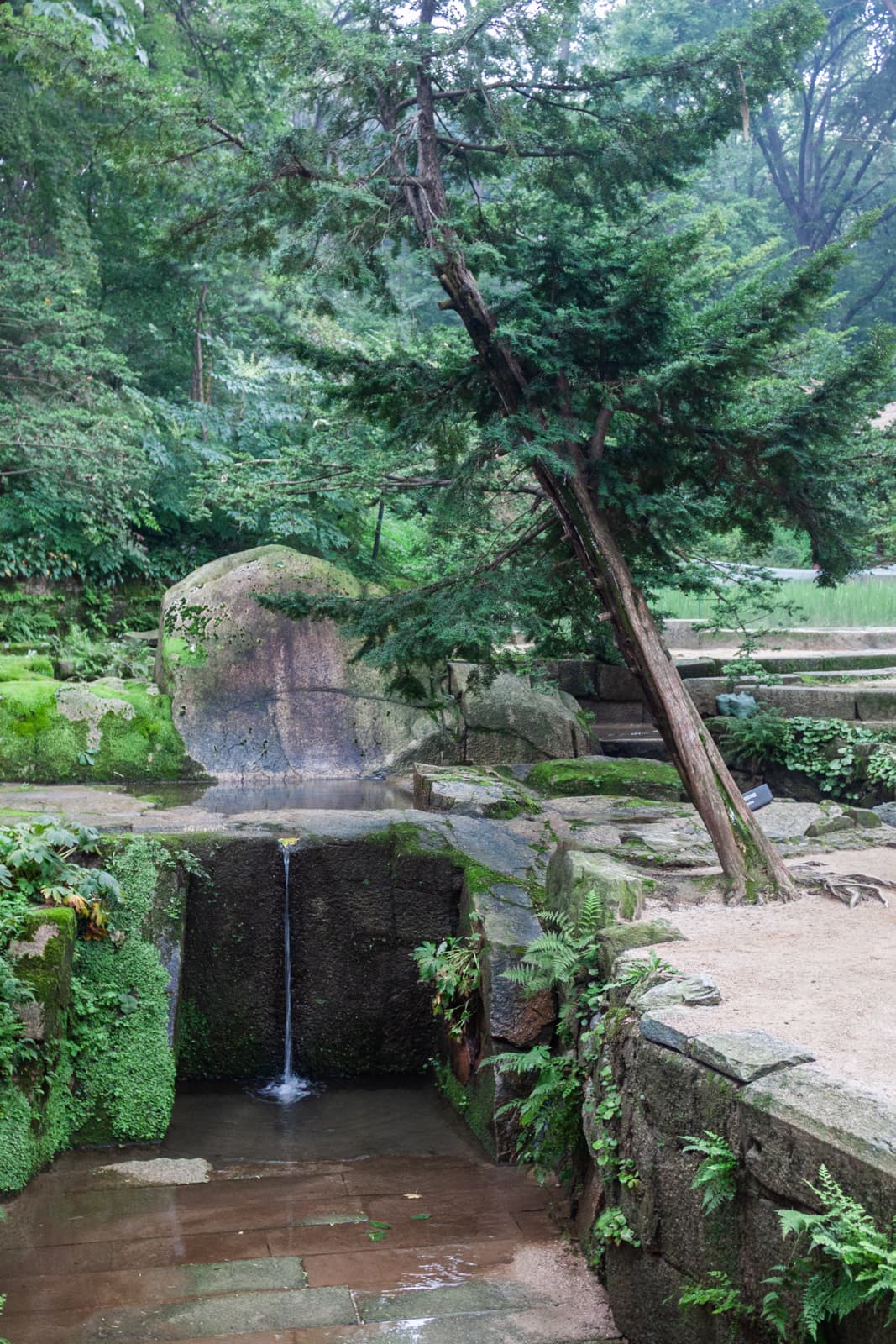 A peaceful scene in a small forested area, featuring a stone-lined water feature with a thin waterfall trickling into a shallow pond. Greenery surrounds the stone and wooden elements, contributing to the tranquil atmosphere.