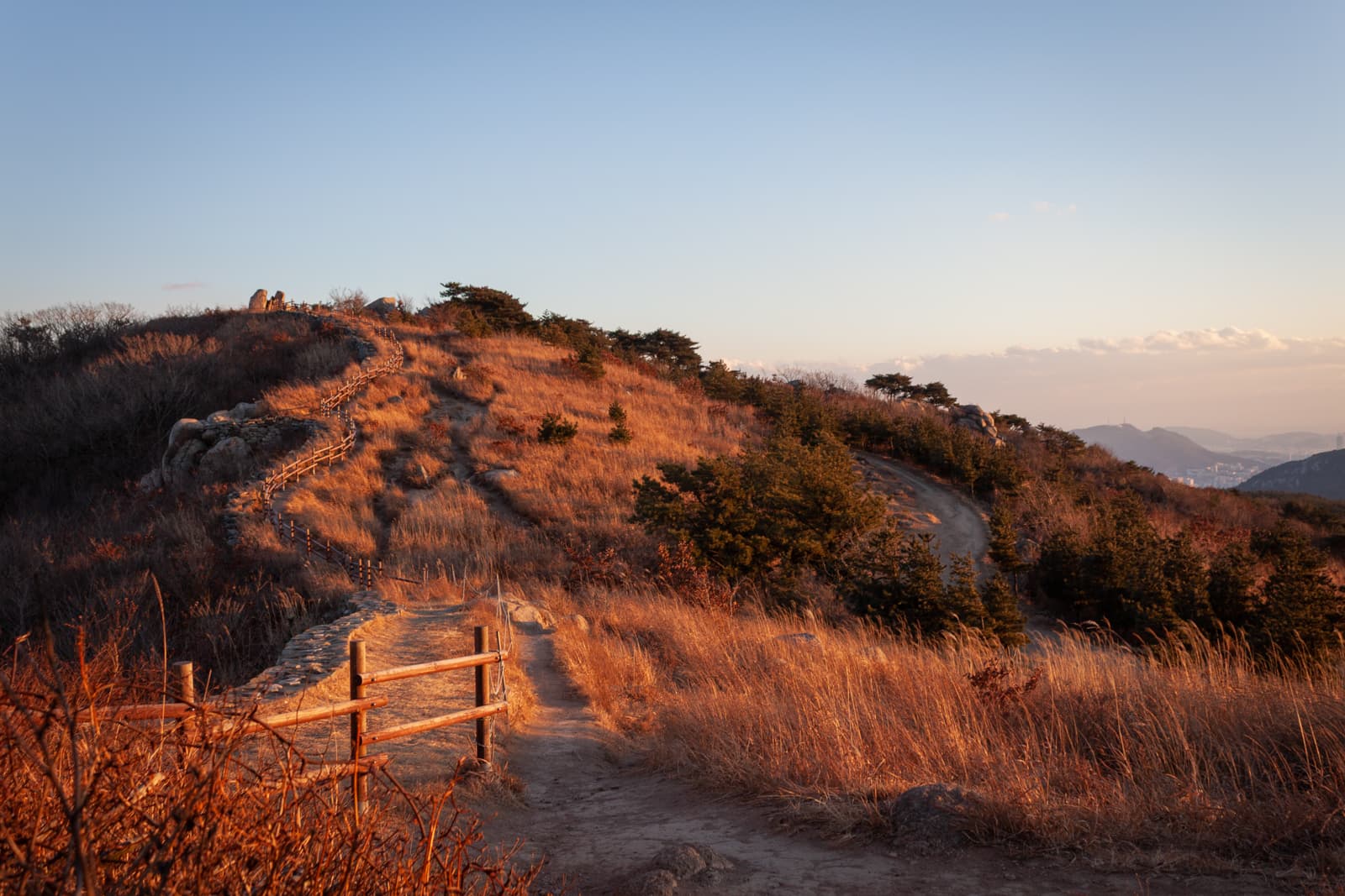 A sunlit hiking path winding along a hill, with the golden grasses and trees illuminated by the soft evening light.