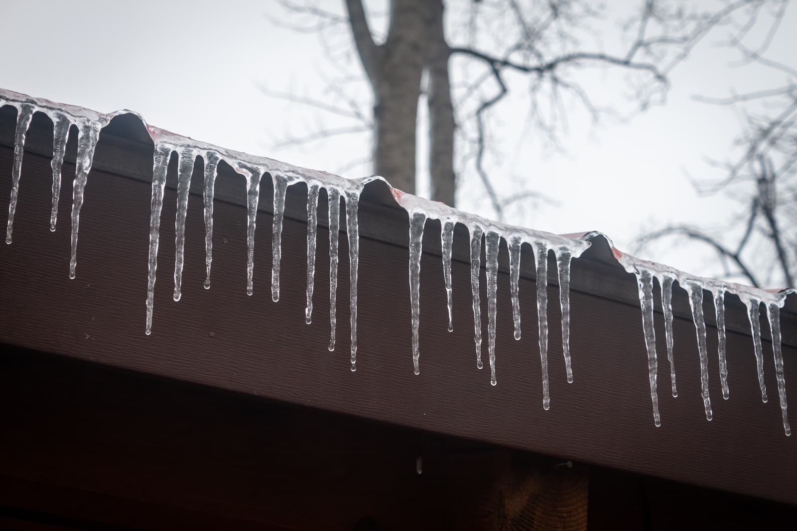 A close-up of icicles hanging from the edge of a roof, each icicle formed into delicate, tapering shapes. In the background, blurred trees emphasize the cold, wintry setting.