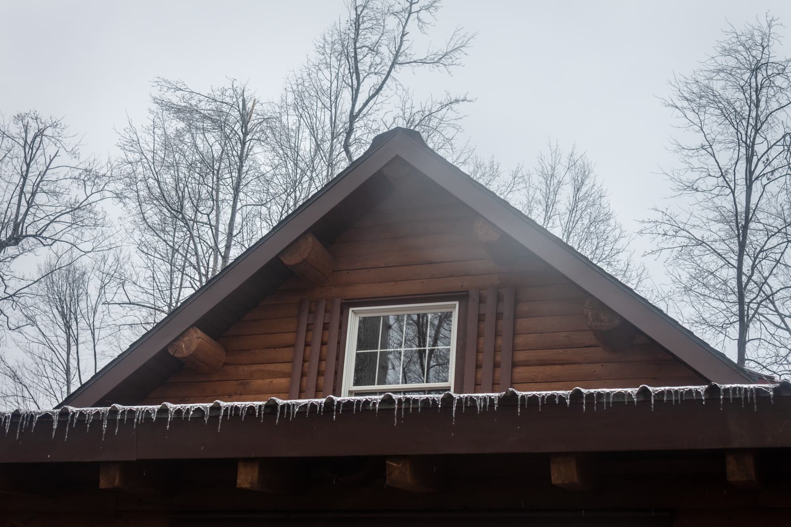 The roof of a wooden cabin with icicles hanging along the eaves. The trees surrounding the cabin are bare, and the scene is framed against a cold, cloudy sky, highlighting the stillness of winter.