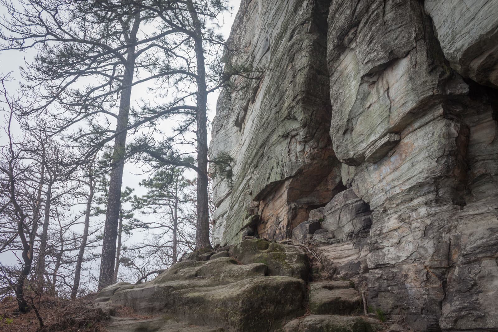 A scenic shot of a rocky cliffside with large, jagged boulders and pine trees in the background. The cliff face is worn, with visible cracks and crevices, and the surrounding area shows signs of natural wear from wind or water erosion.
