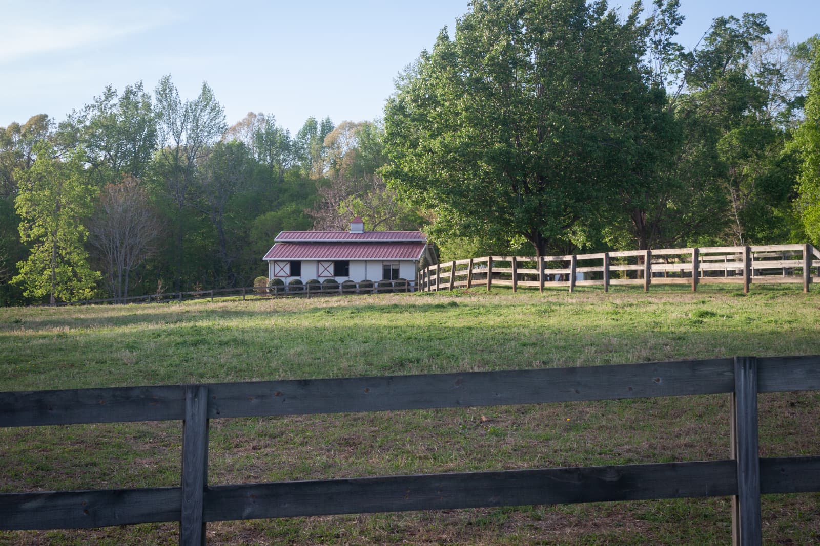 A peaceful scene of a fenced pasture with a small barn or stable in the distance. The barn has a red roof, and the surrounding area is filled with lush green grass and tall trees in the background.