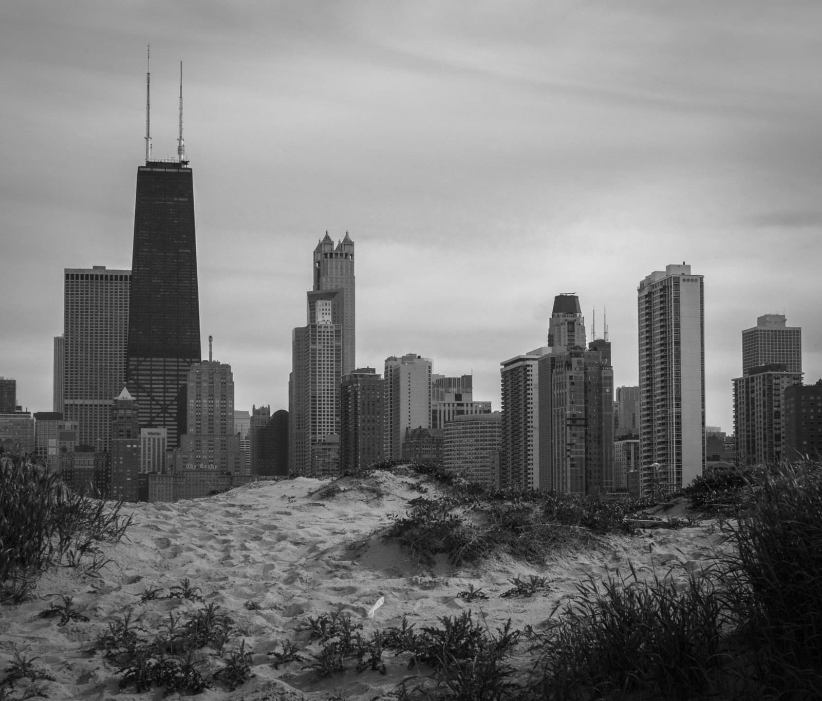A black-and-white photo of a city skyline, viewed from a sandy dune in the foreground. The tall buildings of Chicago, including the iconic John Hancock Center, rise in the background under a cloudy sky. A few birds fly overhead, adding depth to the image.