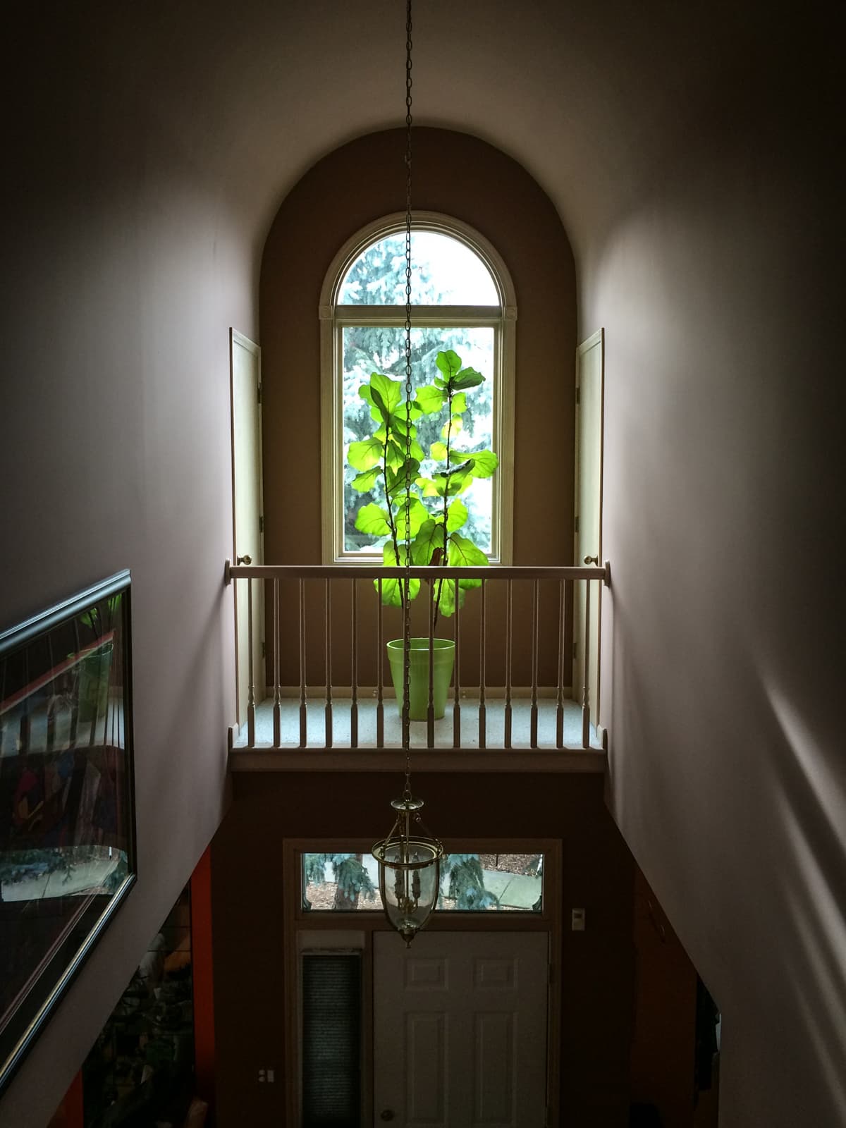 View from an upstairs hallway looking down at a tall green plant placed in front of an arched window. The space is illuminated by natural light coming through the window, with a hanging chandelier and a front door visible below.