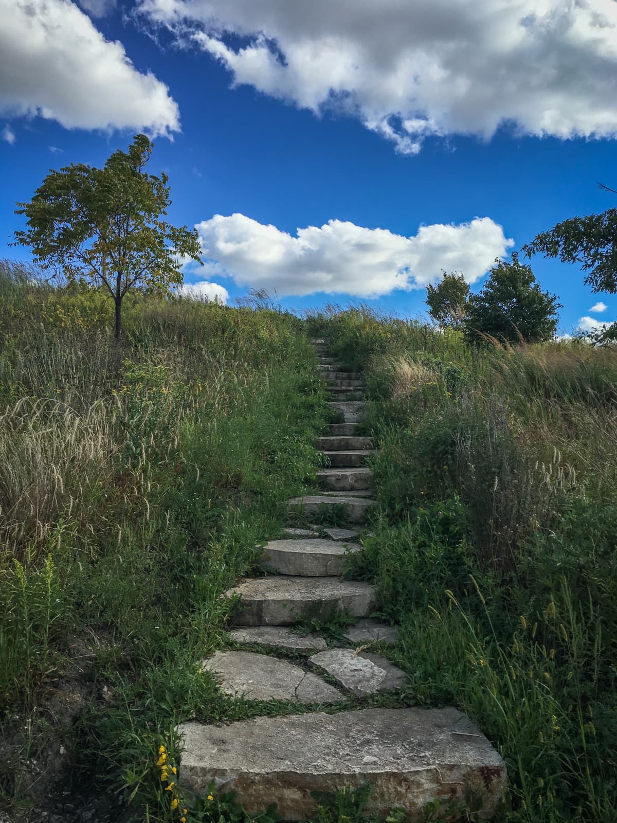 Stone steps leading up a grassy hill, surrounded by tall wild grasses and a few small trees. The sky above is bright blue with scattered fluffy clouds, creating a peaceful and natural landscape.