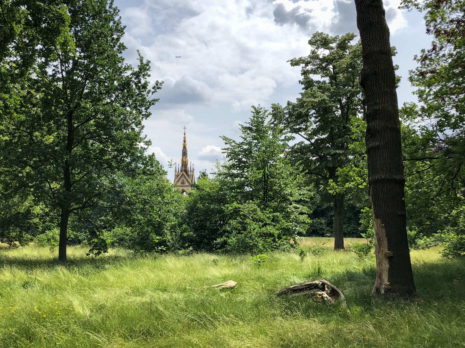 A distant view of a church spire with golden details peeking through a lush, green forest on a sunny day. Tall grass and trees fill the foreground, while the sky above is dotted with clouds. The scene conveys a peaceful, natural setting with the architectural landmark subtly visible in the background.