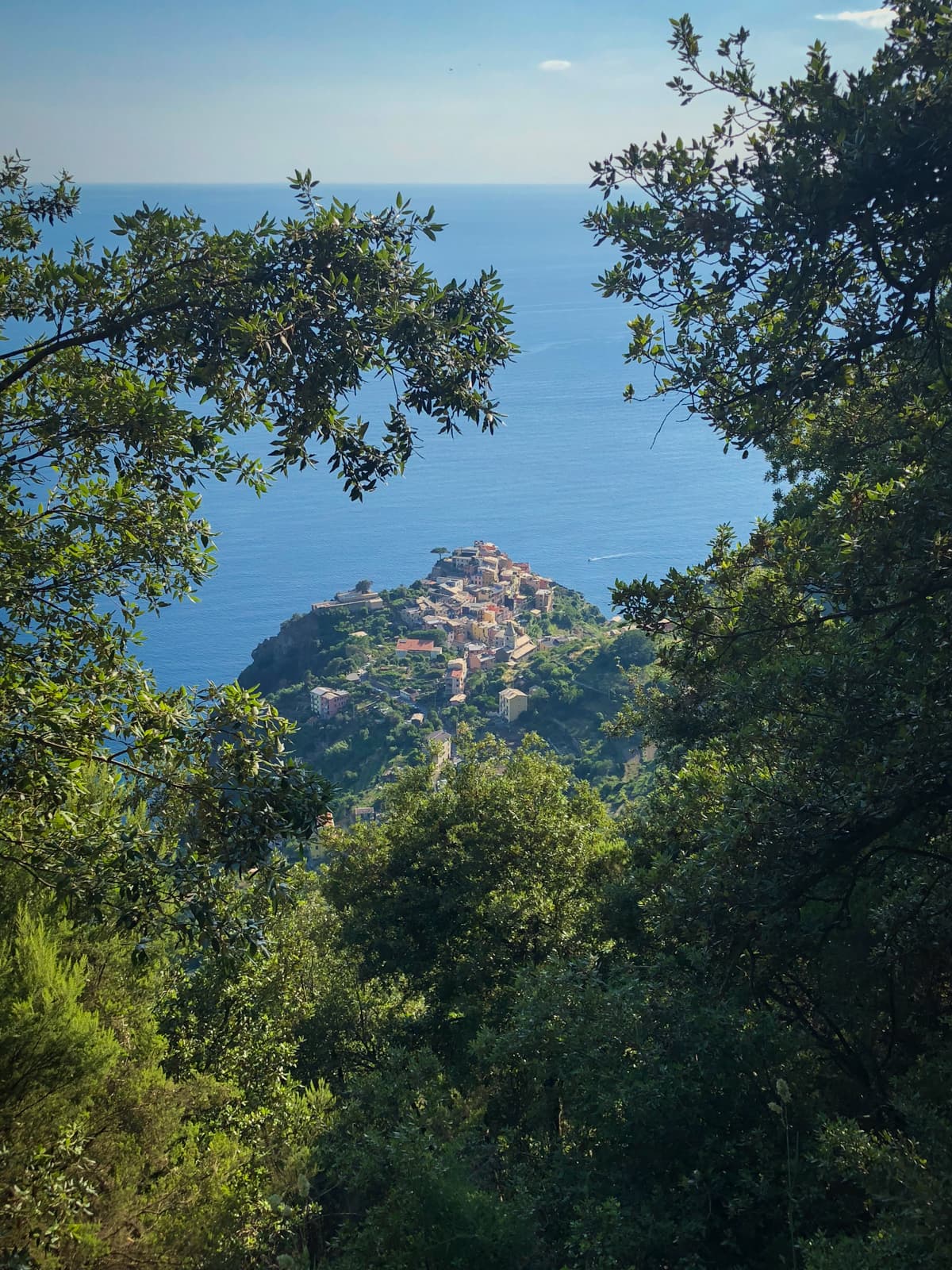 A stunning view of a small Italian coastal village, framed perfectly between lush green trees. The village appears perched atop a hill, surrounded by the sparkling blue sea in the background.