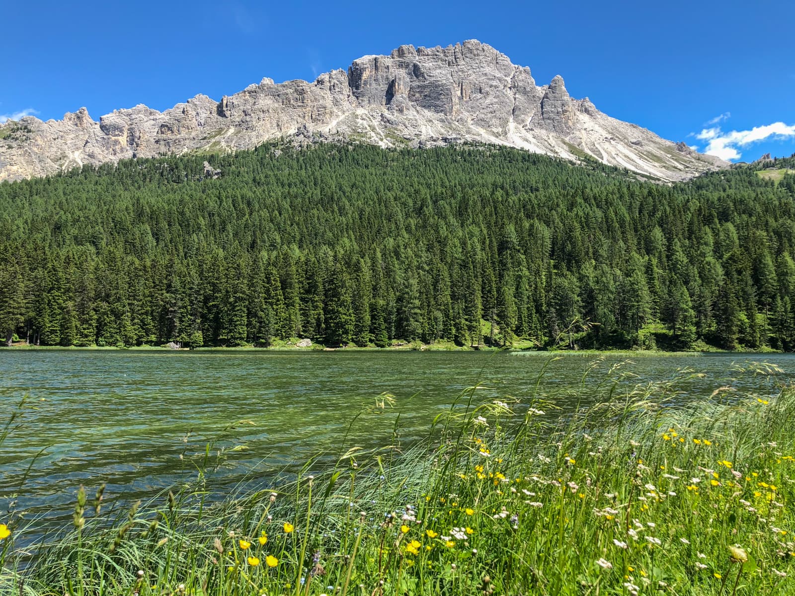 A picturesque scene of a tranquil lake with clear water, surrounded by wildflowers and tall grasses in the foreground. Beyond the lake, a vast forest of evergreens stretches up towards a dramatic mountain range with craggy rock formations under a bright, clear blue sky.