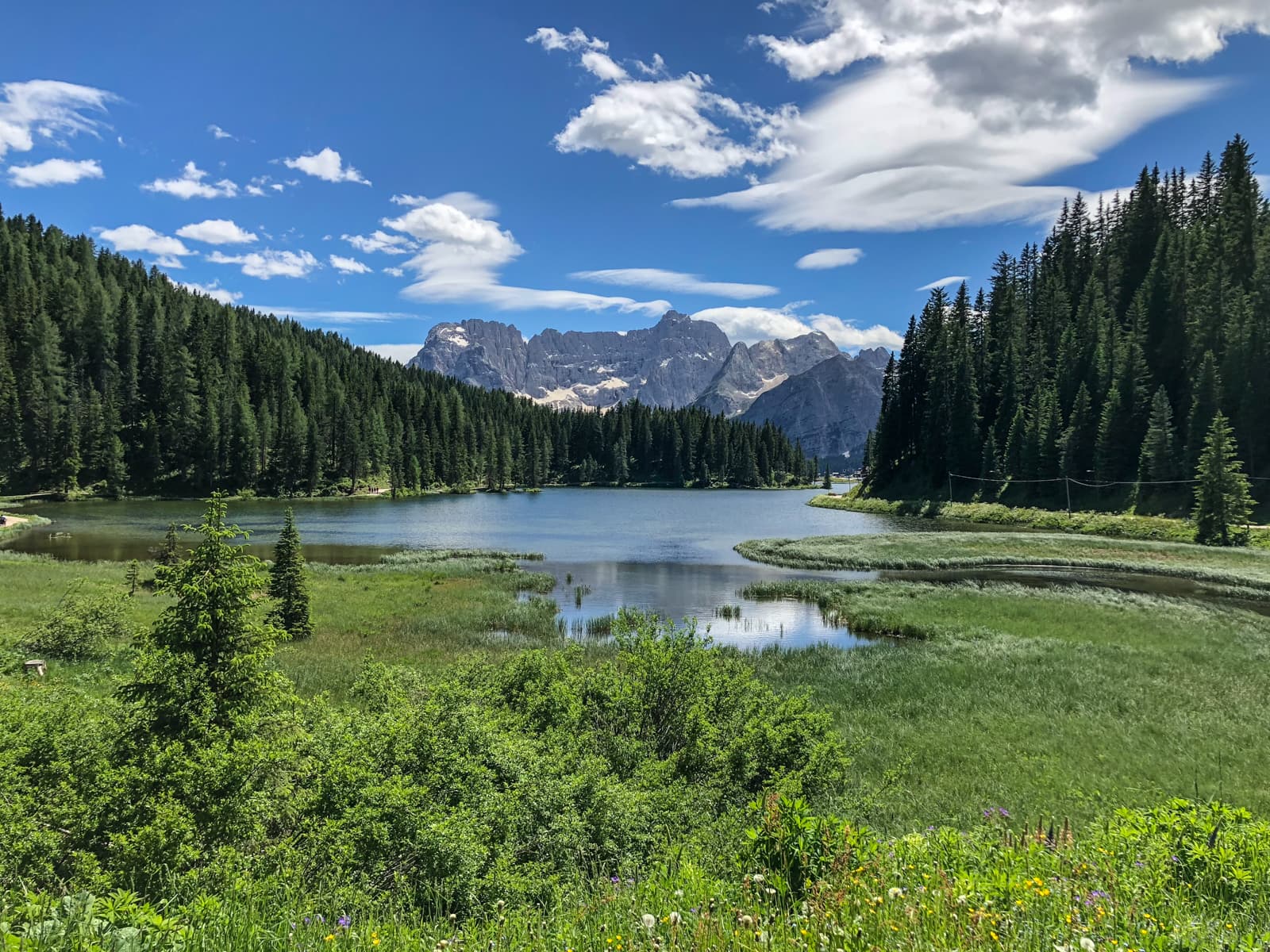 A panoramic view of a pristine mountain lake surrounded by dense forests of evergreens. In the distance, rugged mountain peaks with patches of snow tower over the landscape, under a sky filled with scattered clouds. The lake's edges are fringed with grassy marshes and vibrant green meadows.