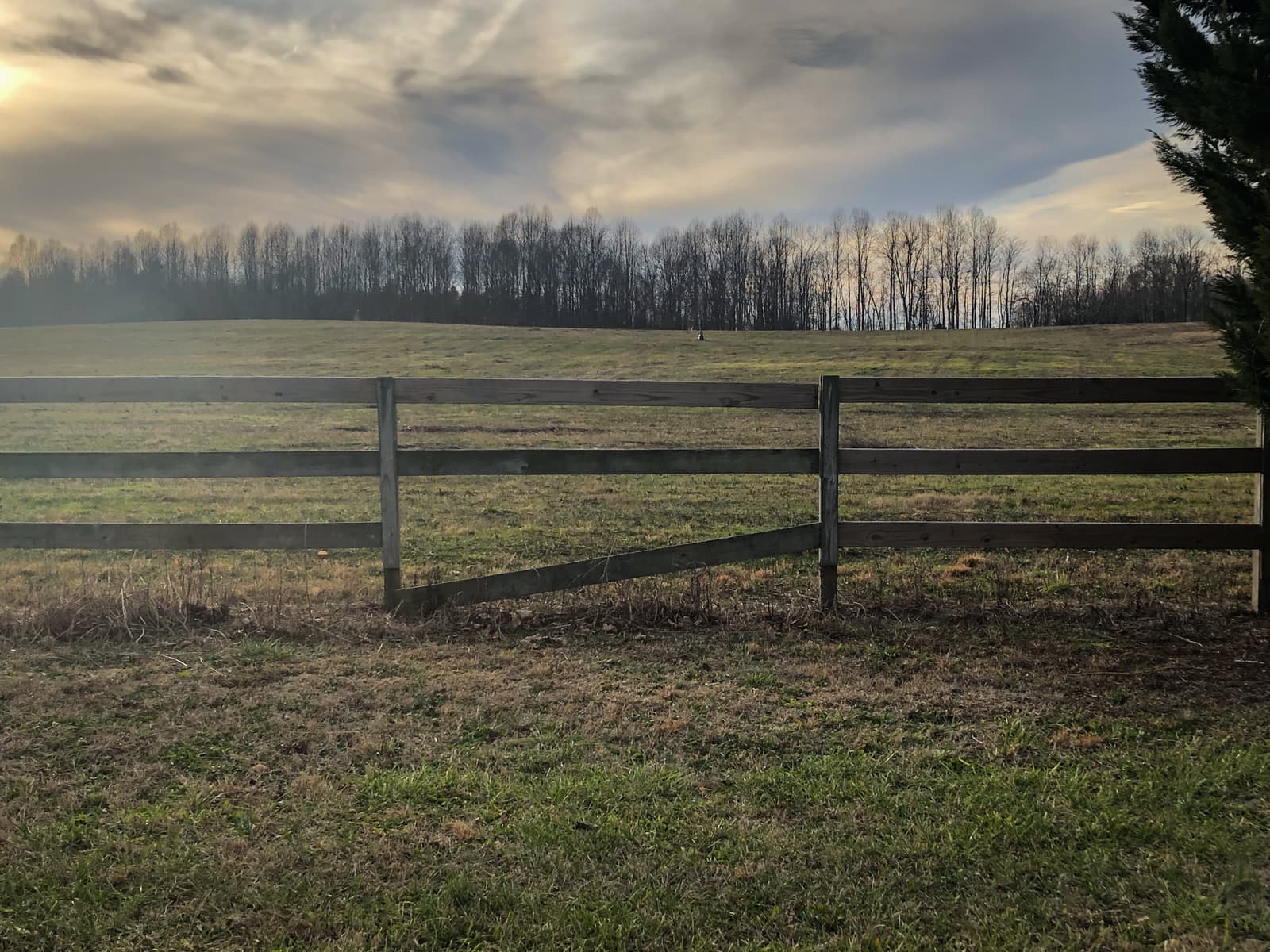 A pastoral scene of a grassy hill enclosed by a wooden fence. The sun peeks through the clouds, casting a soft light over the landscape. In the background, a line of bare trees marks the edge of the field, creating a tranquil, peaceful mood.
