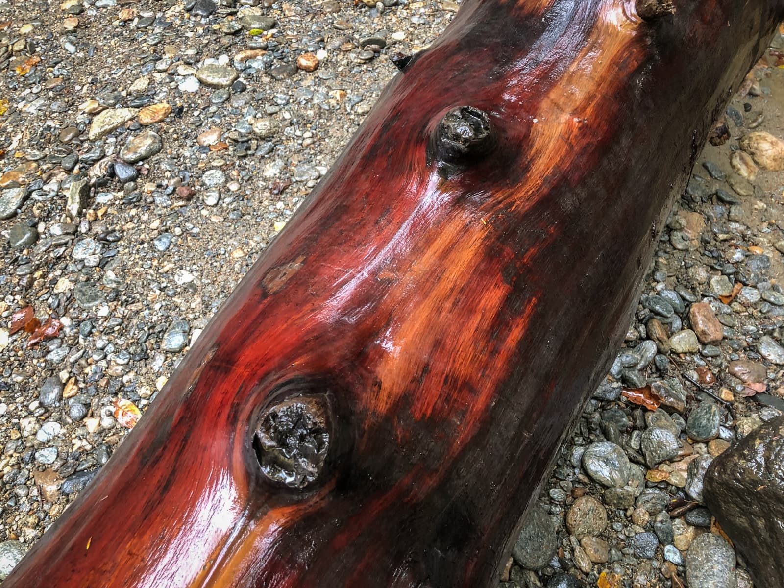 A smooth, polished wooden log with rich red and brown tones, lying on gravel.