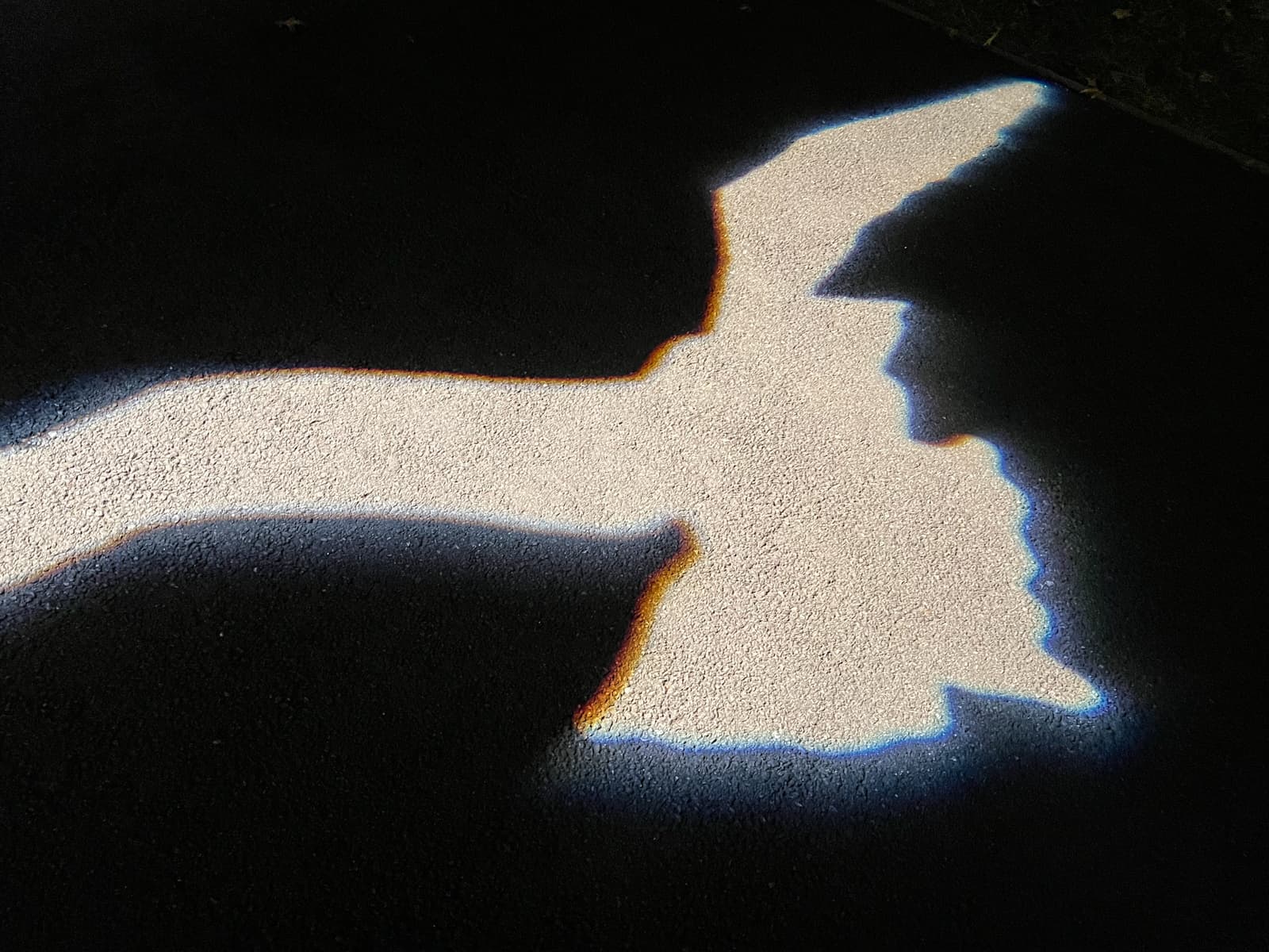 A bright, illuminated outline of a bird in flight, projected onto a dark pavement. The shape of the bird is sharply defined, and the edges of the light create a glowing, rainbow-like effect, adding a surreal and vivid quality to the image. The contrast between the dark ground and the luminous bird form is striking.