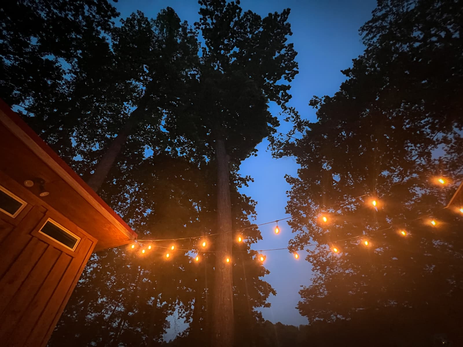 This image captures a serene outdoor setting at dusk. Warm, glowing string lights are suspended between trees, creating a cozy atmosphere. The towering trees are silhouetted against the deepening blue sky, giving a peaceful, almost magical vibe to the scene.