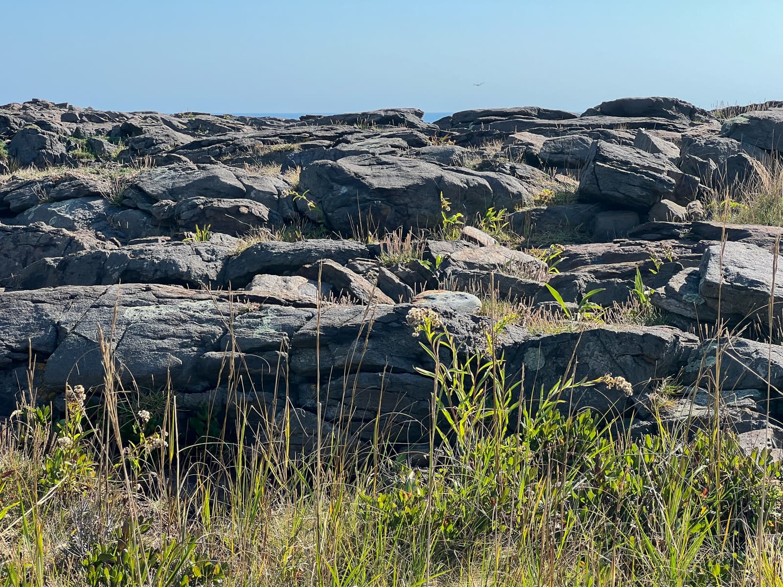 This photo focuses on a stretch of rugged terrain filled with large, dark rocks. Tall grasses and coastal plants grow between the rocks, adding natural life to the scene. The simplicity of the landscape, with its mix of rocks and plants, creates a quiet, remote atmosphere.