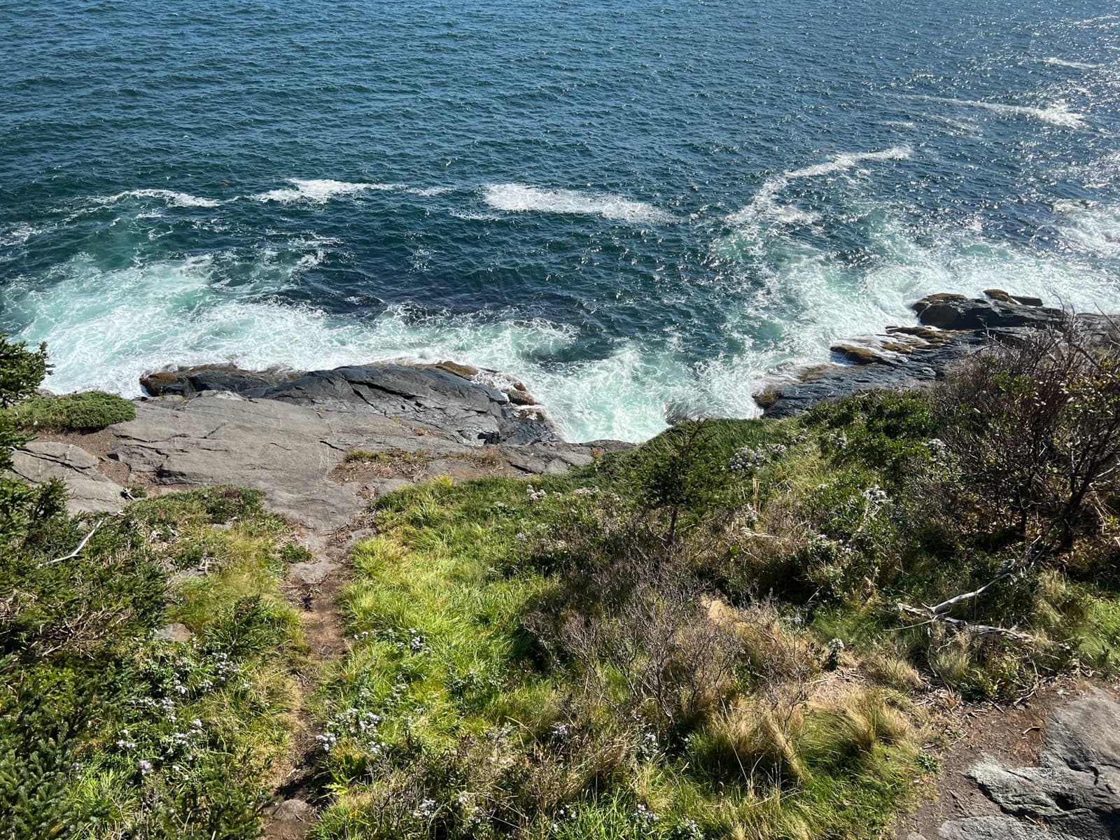A scenic view from a grassy cliff, where a narrow path winds down toward the rocky shore. The turquoise waters crash against the rocks below, and the sunlight dances on the ocean’s surface. The vibrant green grass and wildflowers in the foreground add a natural softness to the rocky coastal scene.