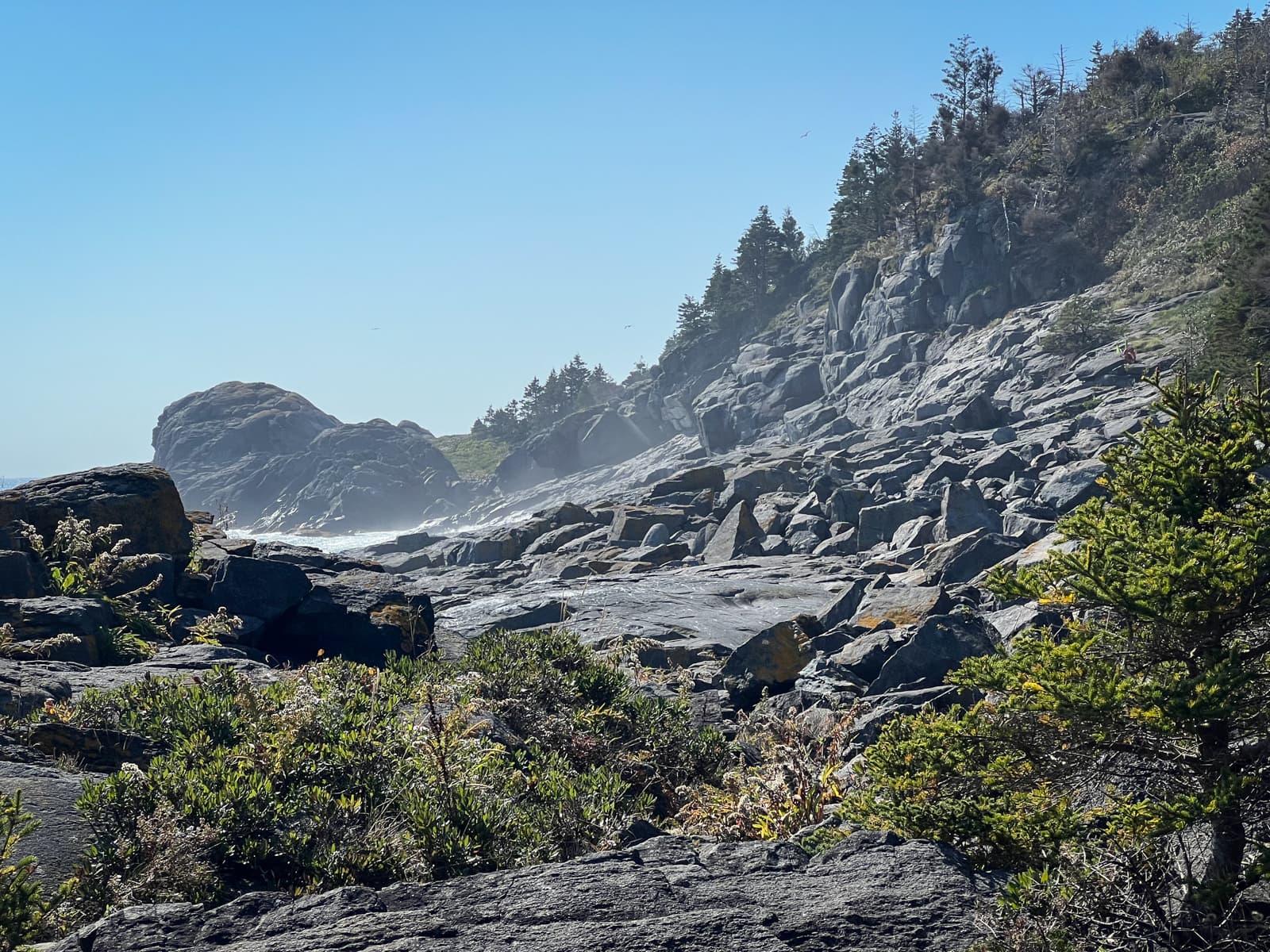 This image captures a rocky, forested coastline with a steep, jagged cliff meeting the sea. A mist rises from the crashing waves, creating a hazy atmosphere in the background. The green plants in the foreground and the trees atop the cliff contrast with the rocky landscape, creating a beautiful balance between nature and the rugged shoreline.