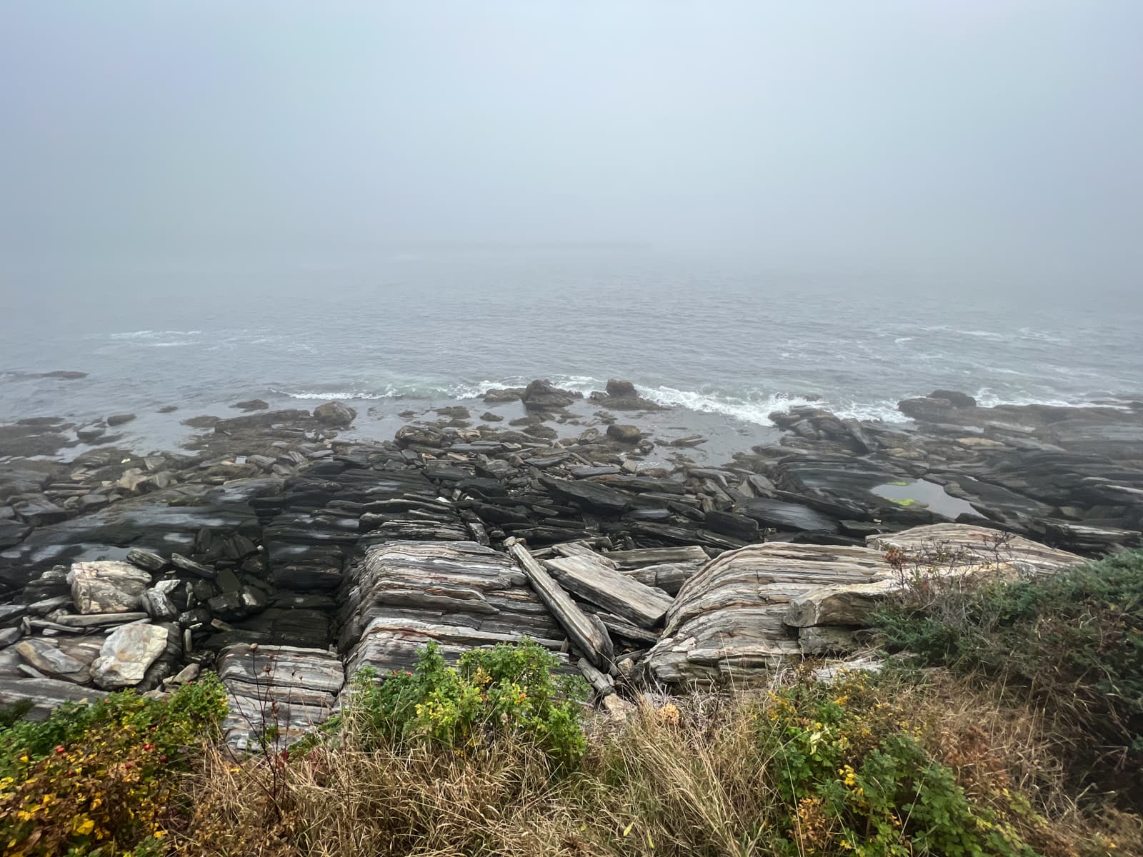 This image depicts a foggy coastal scene, where the mist blends the horizon with the sea, creating a mysterious and serene atmosphere. In the foreground, jagged, layered rock formations stretch toward the water, their textures visible despite the mist. The rocks have a weathered, striped appearance, shaped by the forces of nature over time. Gentle waves break against the shore, but the fog obscures much of the distance, giving the scene a sense of calm isolation. The surrounding greenery, including shrubs and small plants, adds a touch of color to the muted tones of the rocky coastline.